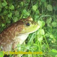 /home//u458753944/public_html/sourcegallery/////////////////////////////////////////////////////////////////////////////////Best/P9110727.JPG
