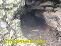 /home//u458753944/public_html/sourcegallery///////////////////////////////////////////////////////////Toads/P11/P1120564.JPG