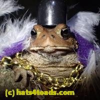 /home//u458753944/public_html/sourcegallery//////////////////////////////////////////////////////Toads/P60/P6050684.JPG