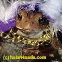 /home//u458753944/public_html/sourcegallery///////////////////////////////////////////////////Toads/P60/P6050680.JPG