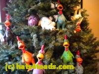 /home//u458753944/public_html/sourcegallery////////////////////////////////////////////Chickens/Christmas/DSCN1763_2.jpg