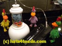 /home//u458753944/public_html/sourcegallery//////////////////////////////////////Chickens/Kitchen/DSCN1714.JPG