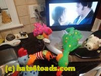 /home//u458753944/public_html/sourcegallery//////////////////////////////////////Chickens/Kitchen/P1070356.JPG