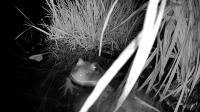 /home//u458753944/public_html/sourcegallery////////////////////////////////////other/pond/jabba/1716540668.png