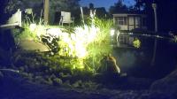 /home//u458753944/public_html/sourcegallery////////////////////////////////////other/pond/jabba/1718677305.png
