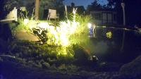 /home//u458753944/public_html/sourcegallery////////////////////////////////////other/pond/jabba/1718679230.png