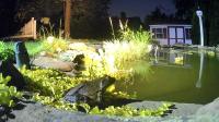 /home//u458753944/public_html/sourcegallery////////////////////////////////////other/pond/jabba/1718765362.png