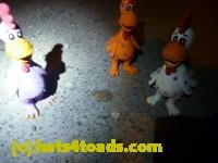 /home//u458753944/public_html/sourcegallery///////////////////////////Toads/P11/P1120087.JPG