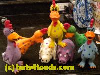 /home//u458753944/public_html/sourcegallery////////////////////////Chickens/Kitchen/DSCN1769.JPG