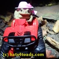 /home//u458753944/public_html/sourcegallery////////////////////////Toads/P06/PA070144.JPG
