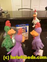 /home//u458753944/public_html/sourcegallery///////////////////Chickens/Kitchen/P1100776.JPG