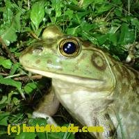 /home//u458753944/public_html/sourcegallery////////////////Best/P6020111.JPG