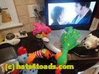 /home//u458753944/public_html/sourcegallery/////////////Chickens/Kitchen/P1070356.JPG