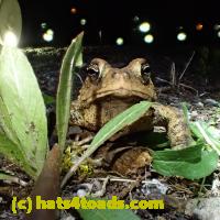/home//u458753944/public_html/sourcegallery///////////Best/P4180380.JPG