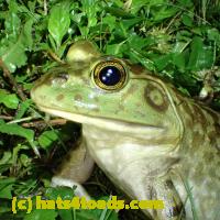 /home//u458753944/public_html/sourcegallery///////////Best/P6020111.JPG