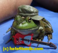 /home//u458753944/public_html/sourcegallery///////////Best/frog.jpg