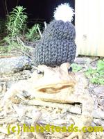 /home//u458753944/public_html/sourcegallery//////////Toads/P40/P4050366.JPG