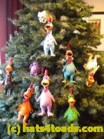 /home//u458753944/public_html/sourcegallery////////Chickens/Christmas/DSCN1759_2.jpg