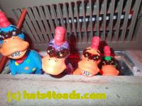 /home//u458753944/public_html/sourcegallery///////Chickens/Kitchen/PB070191.JPG