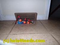 /home//u458753944/public_html/sourcegallery///////Chickens/Kitchen/PB070197.JPG