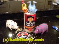 /home//u458753944/public_html/sourcegallery//////Chickens/Kitchen/DSCN1716.JPG