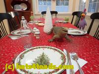 /home//u458753944/public_html/sourcegallery//////Chickens/Kitchen/PC250729.JPG