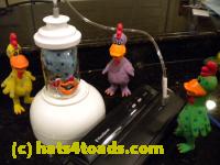 /home//u458753944/public_html/sourcegallery/////Chickens/Kitchen/DSCN1714.JPG