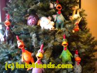 /home//u458753944/public_html/sourcegallery////Chickens/Christmas/DSCN1763_2.jpg