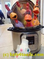 /home//u458753944/public_html/sourcegallery////Chickens/Kitchen/P1030745.JPG