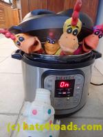 /home//u458753944/public_html/sourcegallery////Chickens/Kitchen/P1030748.JPG