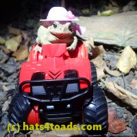 /home//u458753944/public_html/sourcegallery////Toads/P06/PA070143.JPG