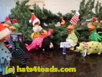 /home//u458753944/public_html/sourcegallery//Chickens/Christmas/PC050058.jpg