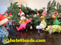 /home//u458753944/public_html/sourcegallery//Chickens/Christmas/PC050064.jpg