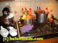 /home//u458753944/public_html/sourcegallery//Chickens/Kitchen/DSCN1816.JPG