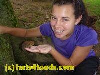 /home//u458753944/public_html/sourcegallery//Toads/P11/P1120829.JPG