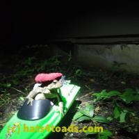 /home//u458753944/public_html/sourcegallery//Toads/P81/P8150247.JPG