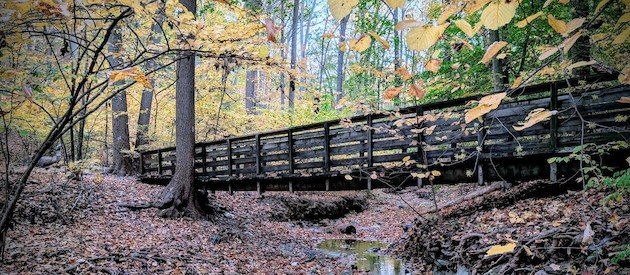 McKaig monkey rock bridge